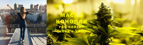индика Арсеньев