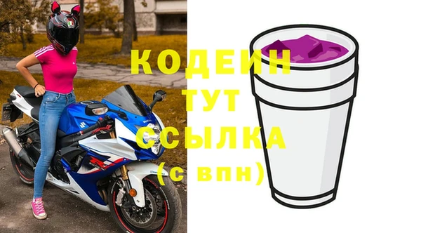 индика Арсеньев